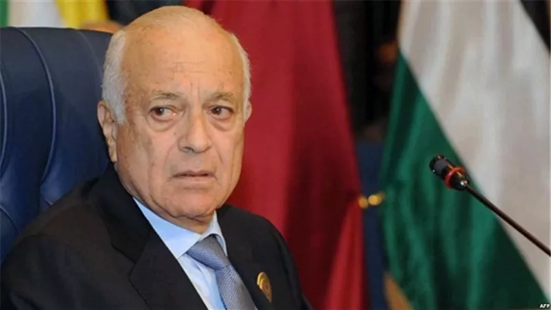 نبيل العربى: 