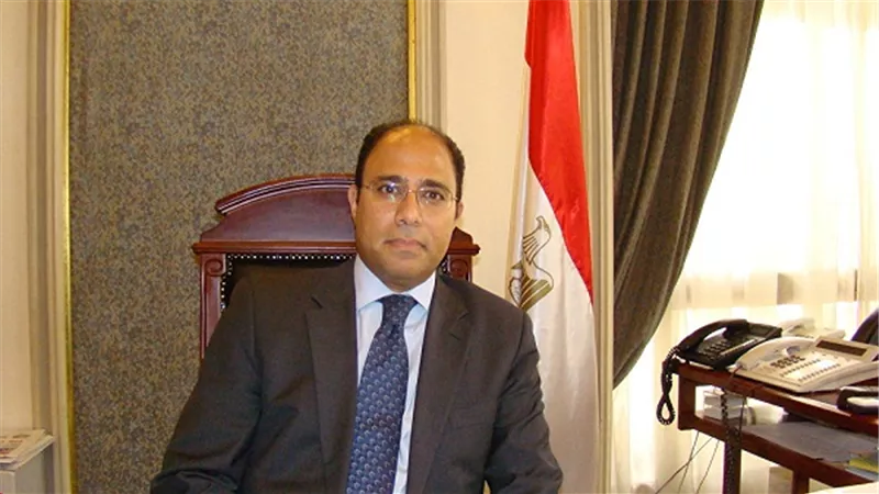 بالفيديو.. 
