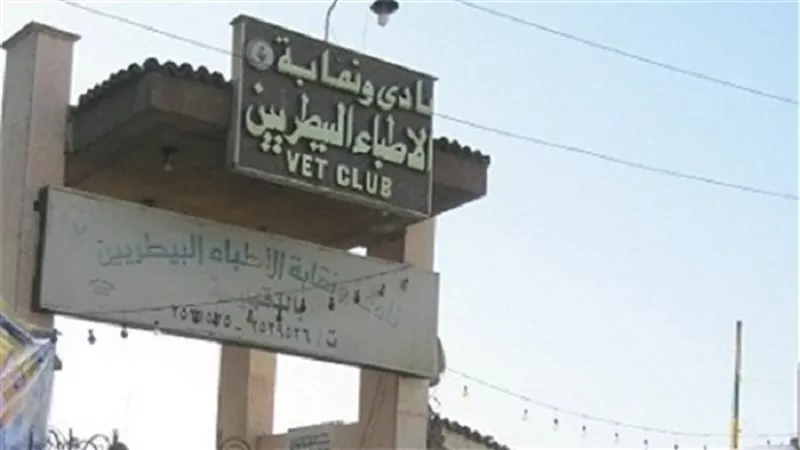 الجمعة..