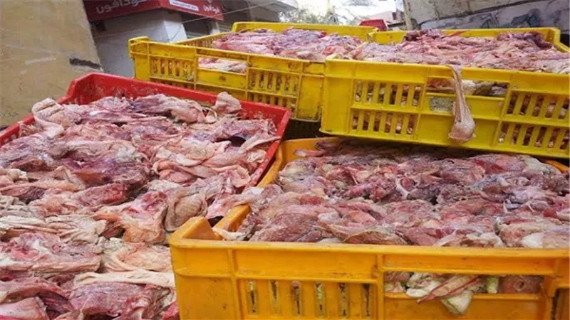 ضبط 2 طن بط وسمان غير صالح لاستخدام الآدمى بالقليوبية