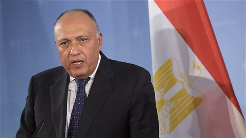 بالفيديو.. 