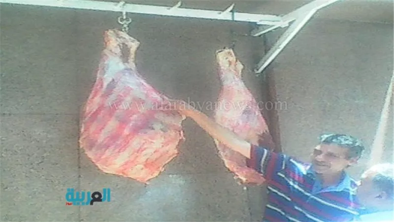 بالصور.. تحرير 5 محاضر بحملة بيطرية في الموسكي 