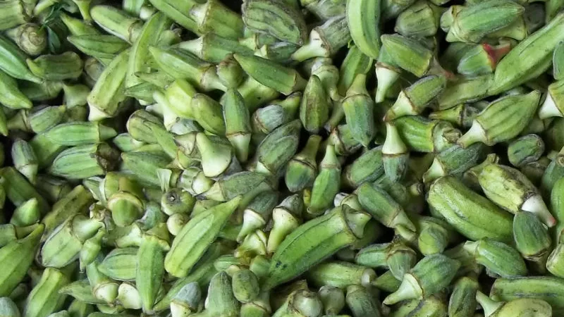 البامية تسجل 18 جنيهًا بالسويس