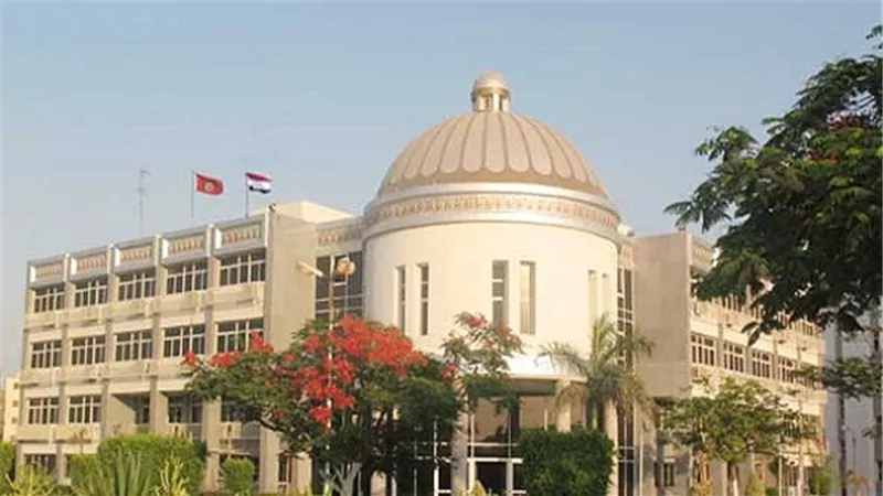 أساتذة 