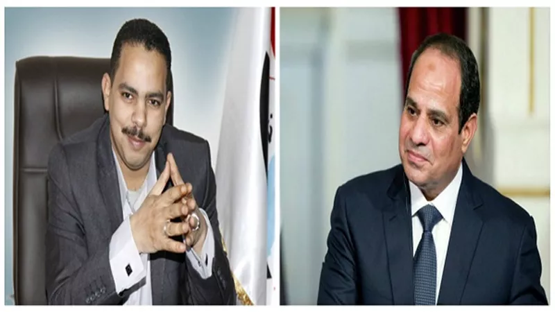 أشرف رشاد: إنجازات السيسي في عامين 