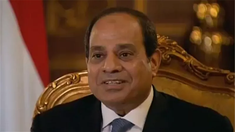السيسي: 50 مليار جنيه حجم التهرب من فواتير الكهرباء