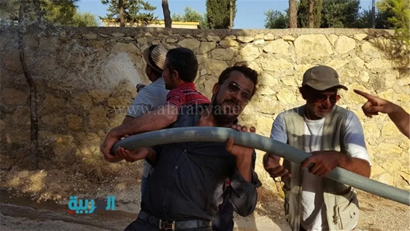 بالصور.. 