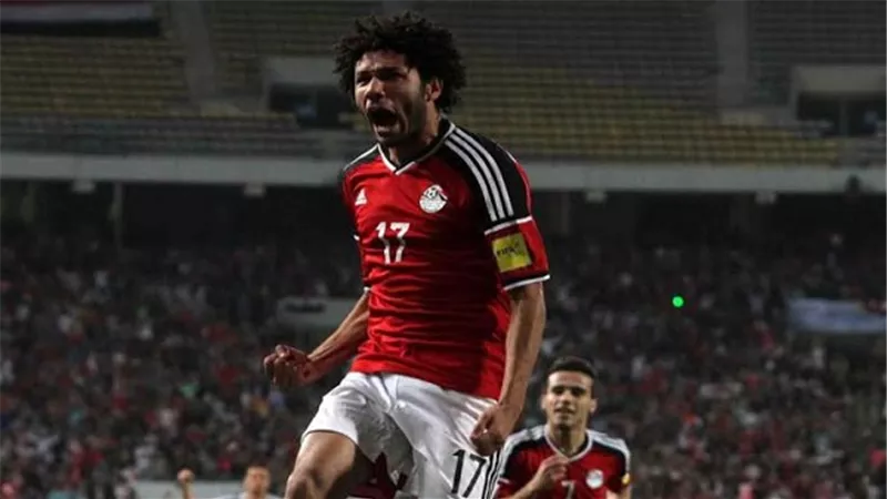 بالفيديو.. 