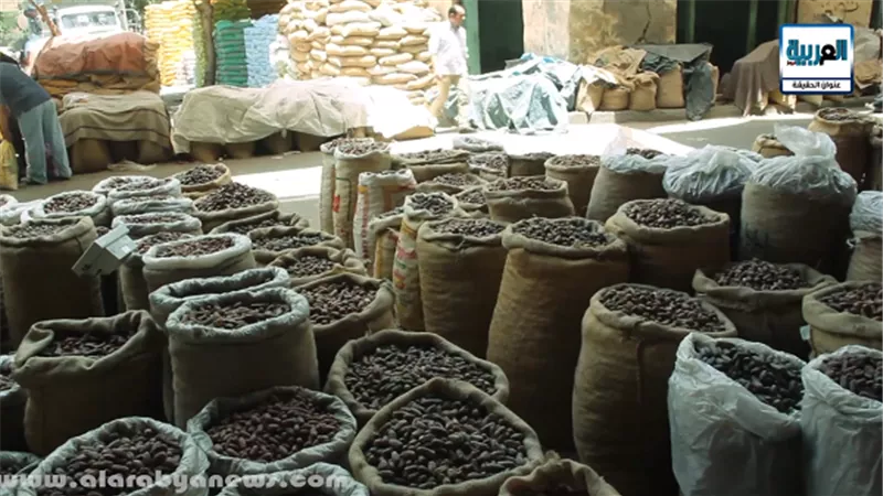 بالفيديو.. 