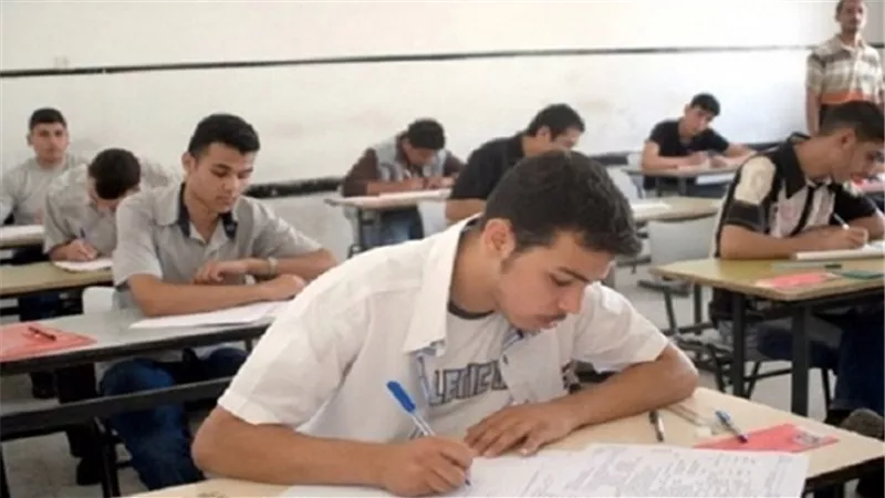 بالفيديو.. 