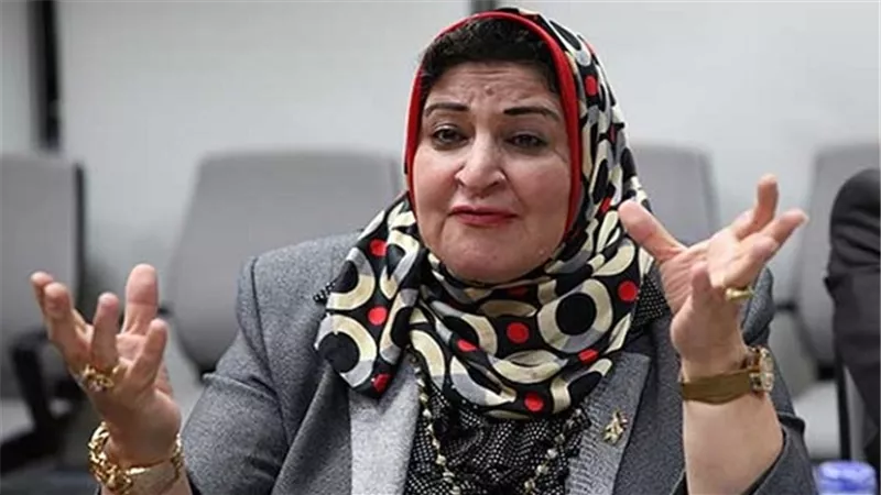 برلمانية تتقدم بطلب إحاطة ضد وزيري التنمية المحلية والري لانقطاع المياه