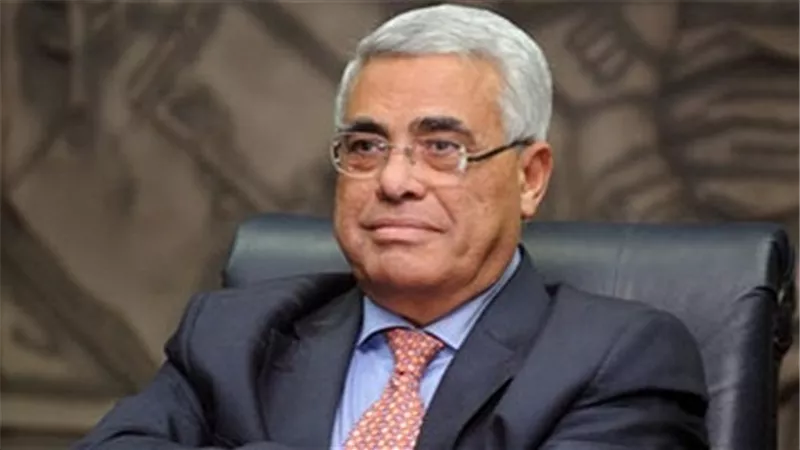 حسن نافعة: قرار الحكومة بالتنازل عن 