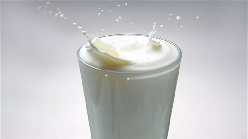 اللبن السائب يسجل 4 جنيهات بالوادي الجديد