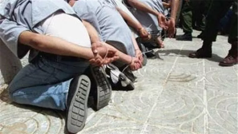 ضبط 3 تشكيلات عصابية و145 قطعة سلاح أبيض بالمحافظات
