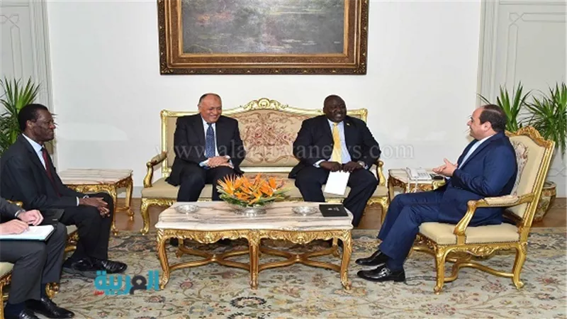 السيسي: مصر تسعى لتنمية علاقاتها بأشقائها الأفارقة