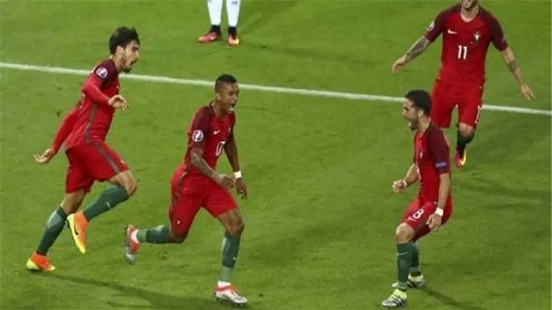 بالفيديو.. 