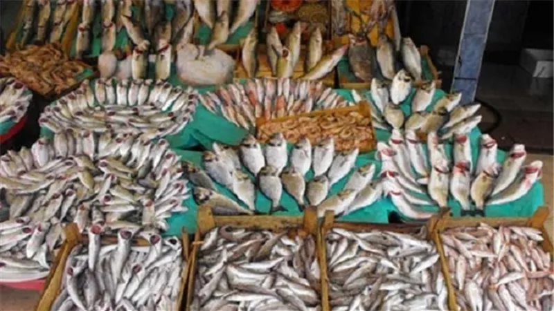 30 جنيهًا لكيلو البوري بسوق العبور اليوم