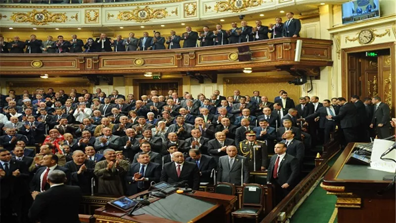 بالفيديو.. برلماني: 