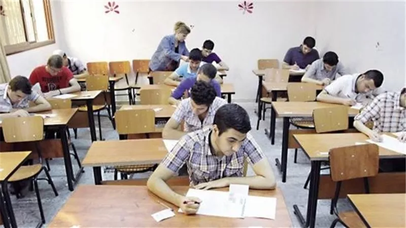 بالفيديو.. 