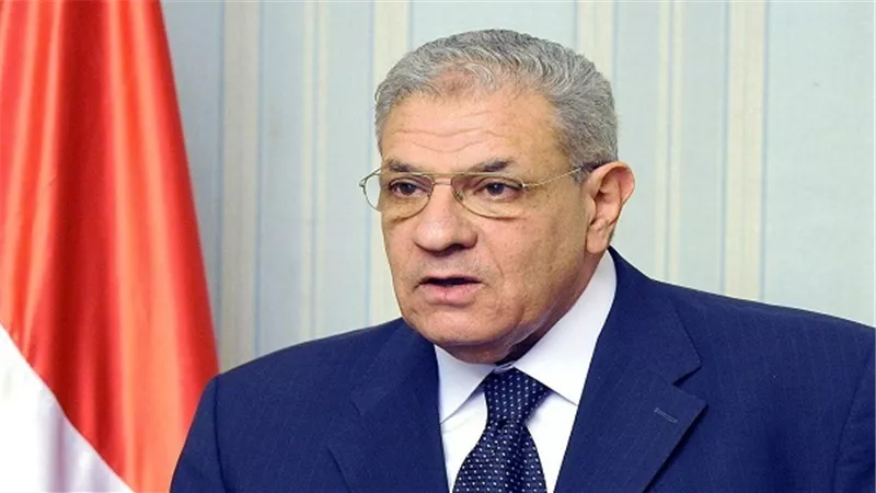 أستاذ اقتصاد زراعي: لجنة 