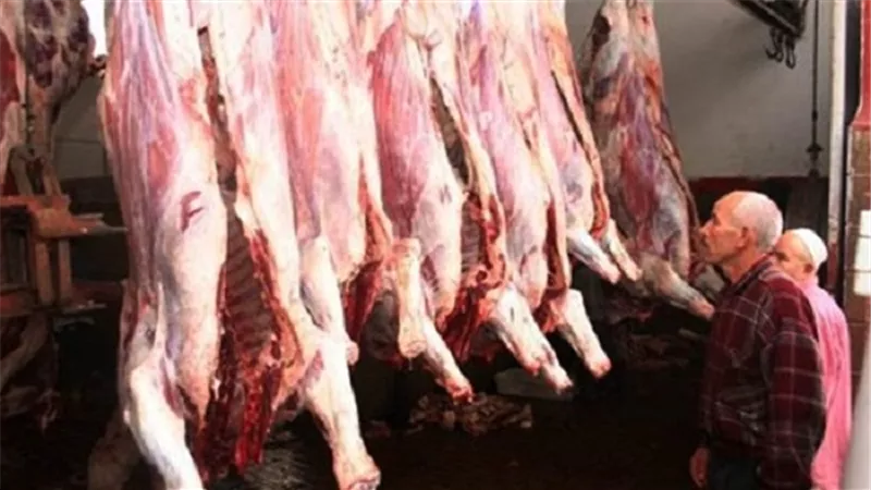 ننشر أسعار اللحوم المذبوحة بعدد من محافظات الجمهورية