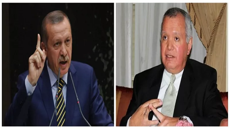 بالفيديو.. 