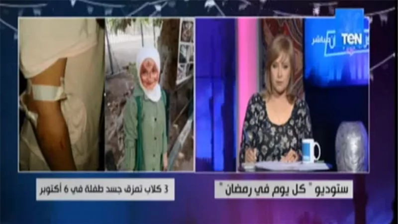 بالفيديو.. والد طفلة مزق جسدها الكلاب: 