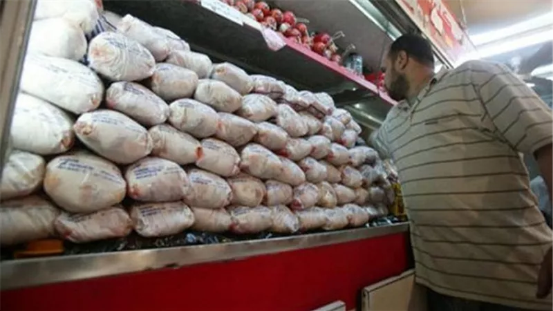 الثروة الداجنة: 