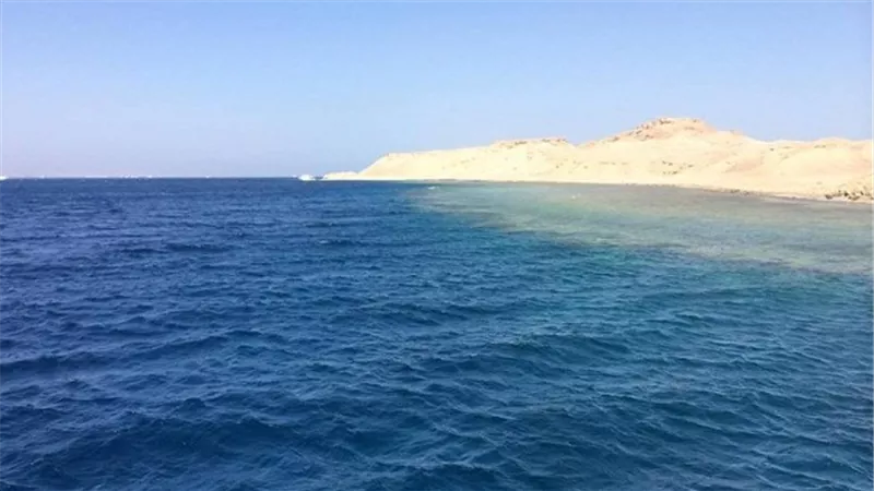 بالفيديو.. 