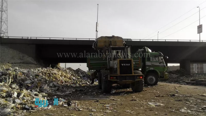بالصور.. حملة نظافة ورفع للمخلفات بمدينة بنها