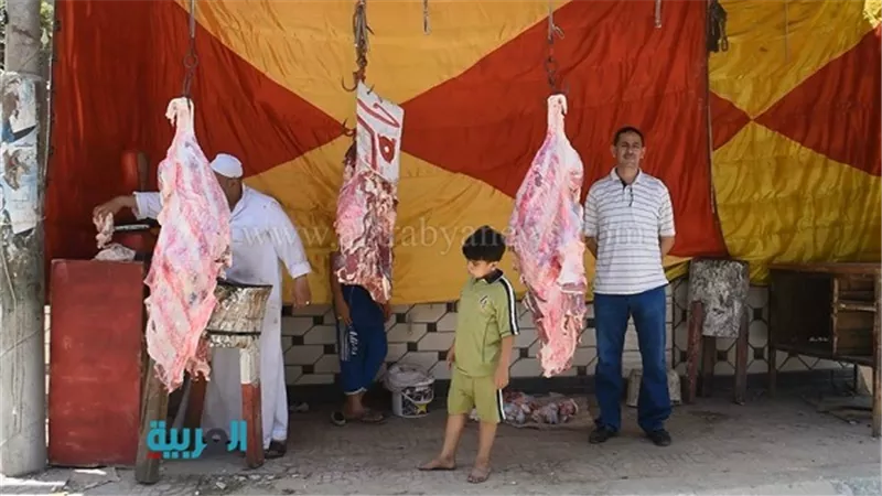 محافظ الفيوم: طرح لحوم بلدية مدعمة بسعر 65 جنيهًا للكيلو