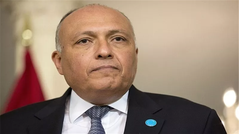 وزير الخارجية يستقبل مرشحة مولدوفا لمنصب سكرتير الأمم المتحدة