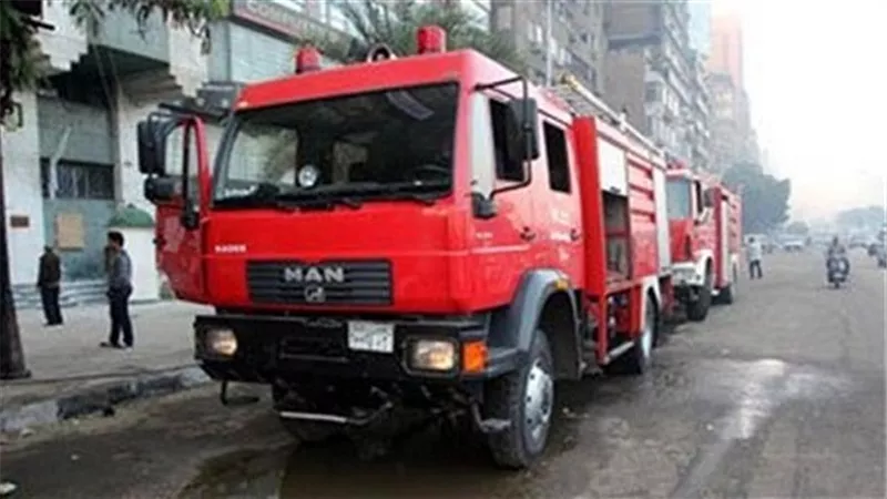 الحماية المدنية ترفع شجرة سقطت بشارع المراغي في العجوزة 