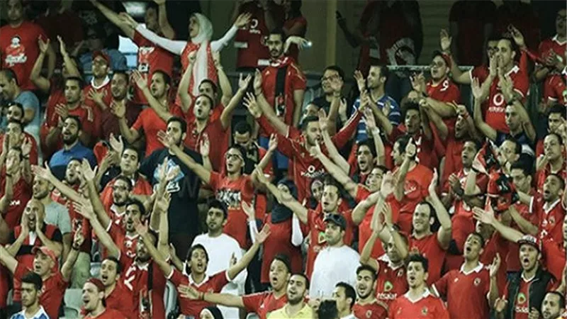بالفيديو.. 
