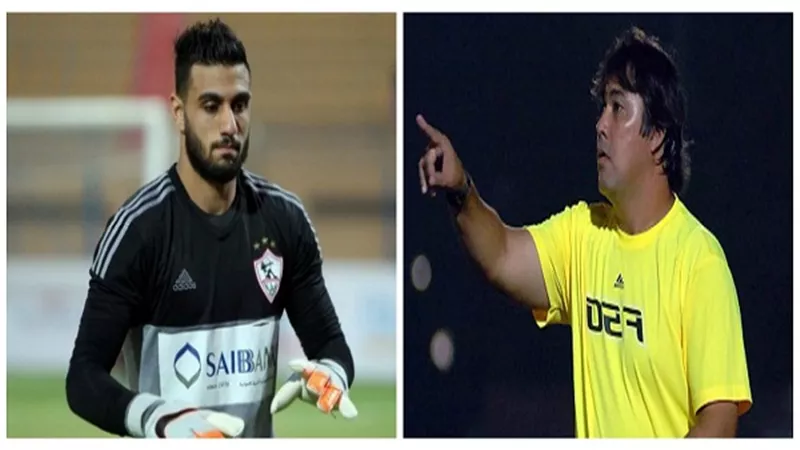 بالفيديو.. 
