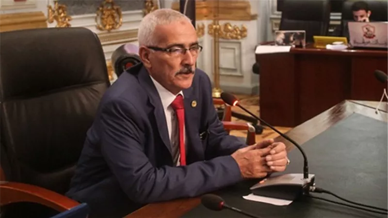 برلماني: الأوضاع في مصر لا تزال بحاجة إلى الاعتماد على الجيش
