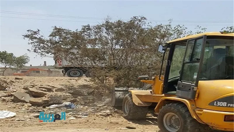 بالصور.. حملة نظافة بشبين القناطر استعدادًا للعيد