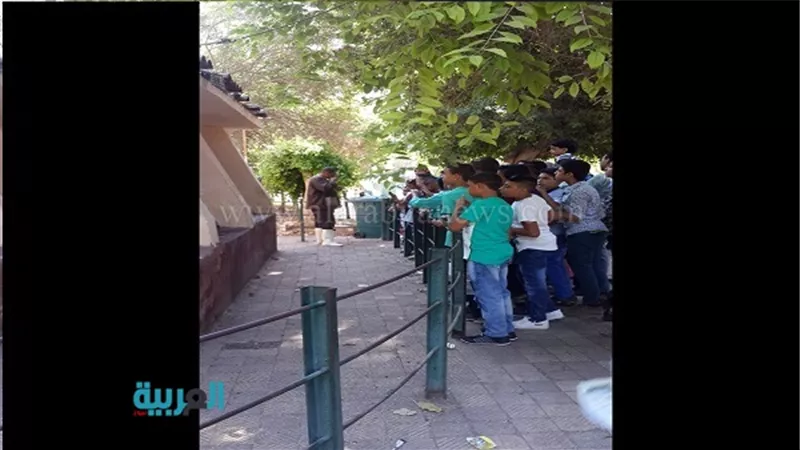 تجمهر رواد حديقة الحيوان أمام الركون والثعلب 
