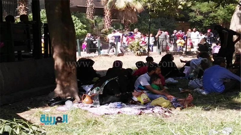 بالصور.. الأطفال يزينون حديقة الحيوان في ثاني أيام عيد الفطر
