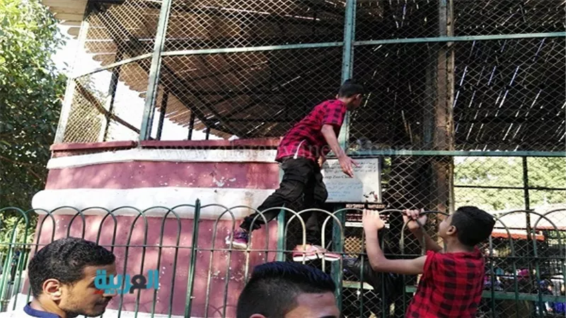 بالصور.. طرائف وعجائب لن تراها إلا في حديقة الحيوان