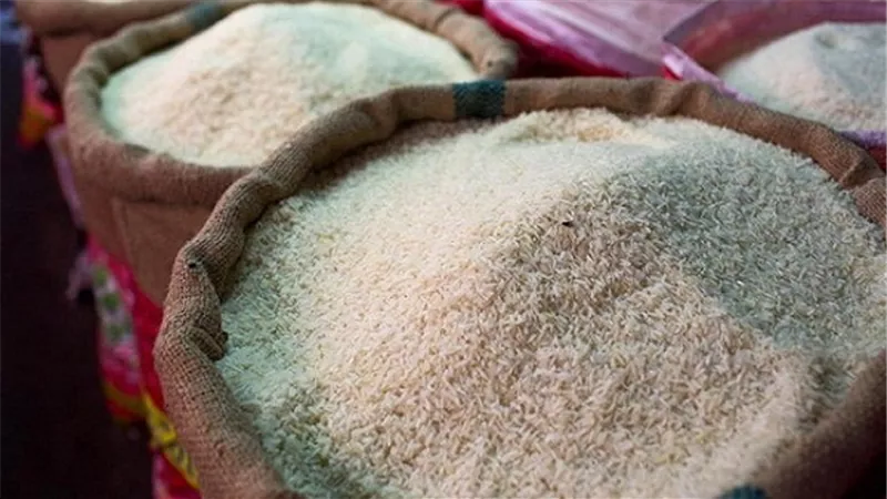 الأرز يسجل 10 جنيهات في المنوفية 