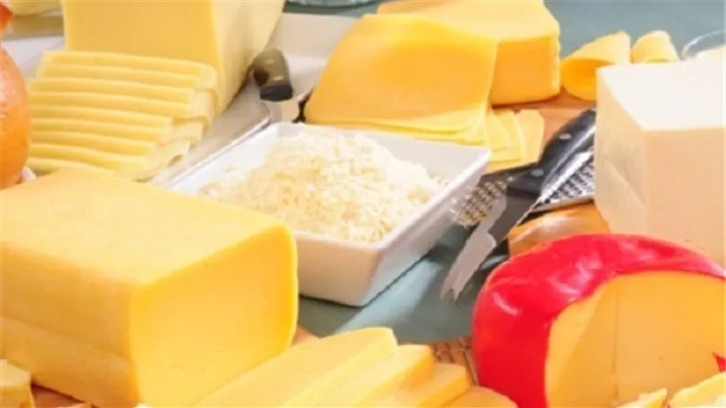 الجبن الرومي يسجل 65 جنيهًا في الغربية