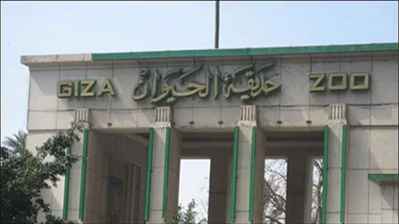  حديقة الحيوان تستورد الدب الروسي بربع مليون جنيه