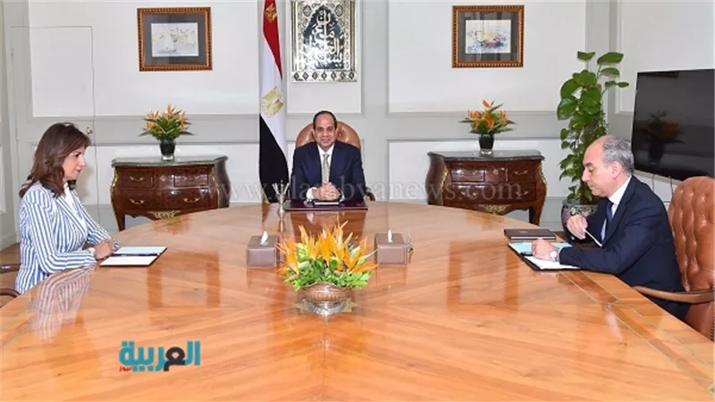 السيسي يؤكد على أهمية استمرار جهود رعاية المصريين في الخارج