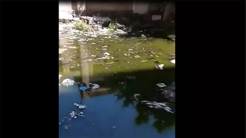بالفيديو.. مدرسة 