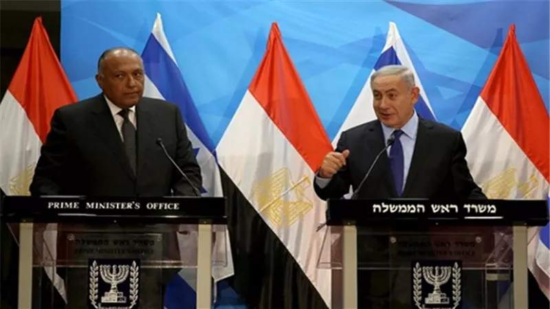 بالفيديو.. 
