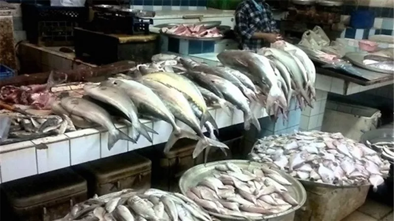 أسعار الأسماك بسوق العبور اليوم