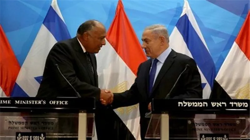  شكري يستعرض هاتفيًا نتائج زيارته لإسرائيل مع الرئيس الفلسطيني