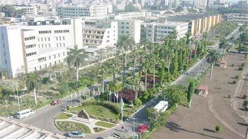 جامعة المنصورة: الوقاية من الصداع توفر ملايين الجنيهات