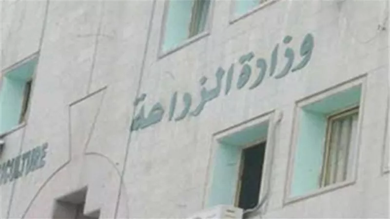 سعيد خليل: 100 مليار جينه فساد داخل وزارة الزراعة
